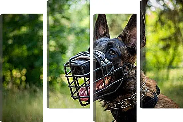 Модульная картина - Овчарка в наморднике