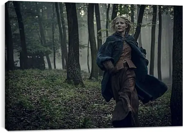 Постер на подрамнике - Ведьмак. The Witcher