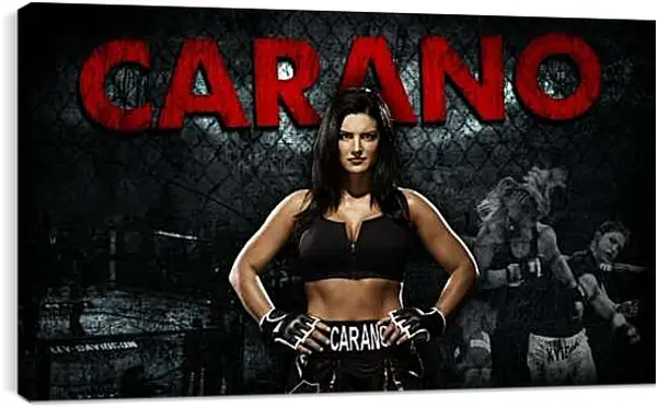 Постер на подрамнике - MMA. UFC. Джина Карано. Бой.