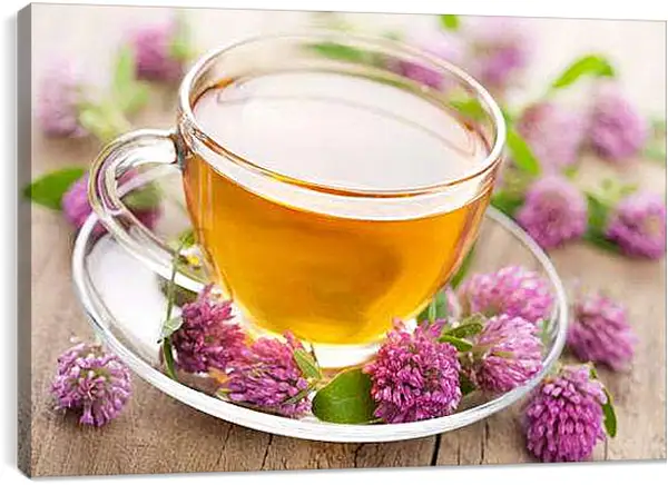 Постер на подрамнике - Чай и клевер. Чай с клевером.