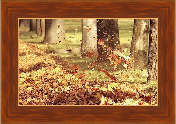 Картина в раме - Осень