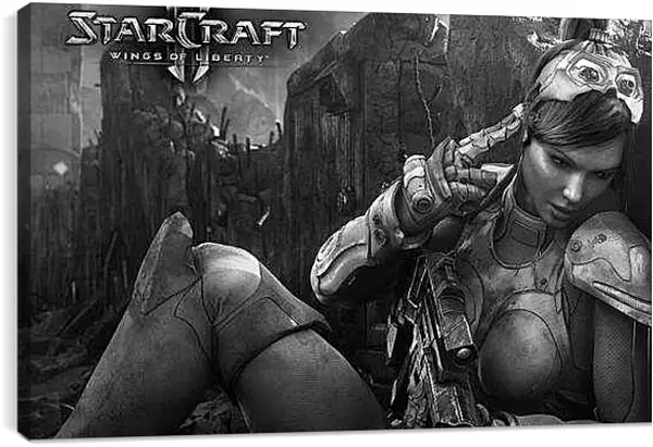 Постер на подрамнике - Starcraft