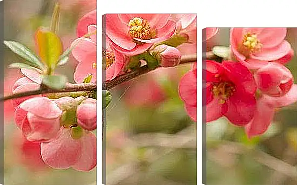 Модульная картина - Весна