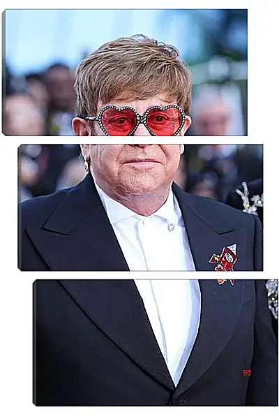 Модульная картина - Элтон Джон. Elton John