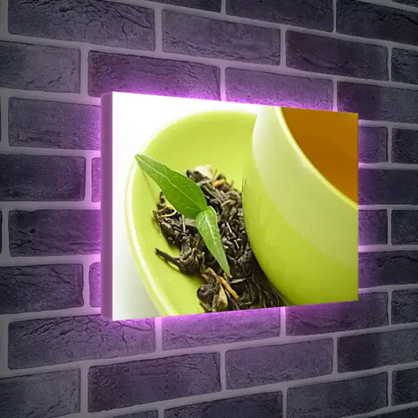 Лайтбокс световая панель - Чашка зеленого чая. Чайная гармония.