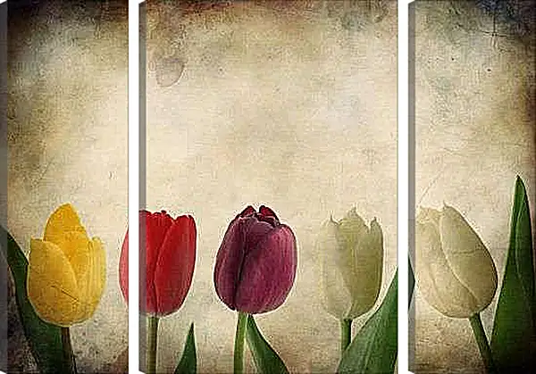 Модульная картина - Тюльпаны
