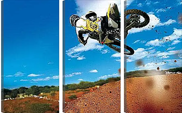 Модульная картина - Спорт