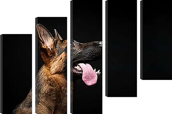 Модульная картина - Овчарка