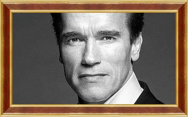 Картина в раме - Арнольд Шварценеггер (Arnold Schwarzenegger)