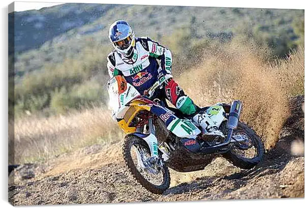 Постер на подрамнике - Спорт