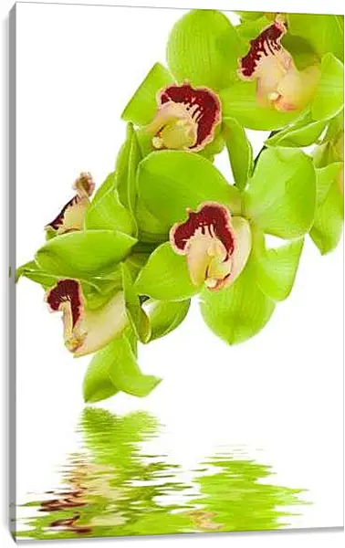 Постер на подрамнике - Зеленые цветы и вода