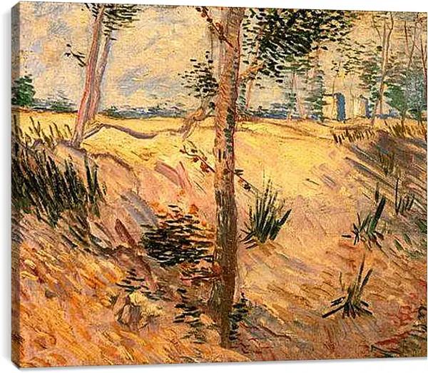Постер на подрамнике - Trees in a Field on a Sunny Day. Винсент Ван Гог