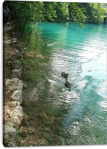 Постер на подрамнике - Плитвицкие озера