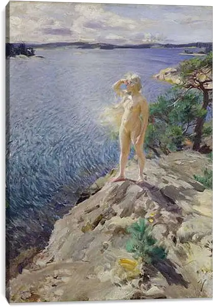 Постер на подрамнике - In the Skerries. На шхерах. Андерс Цорн