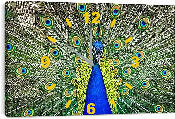 Часы картина - Павлин с распущенным хвостом