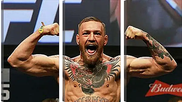 Модульная картина - UFC. MMA. Конор МакГрегор демонстрирует мышцы.
