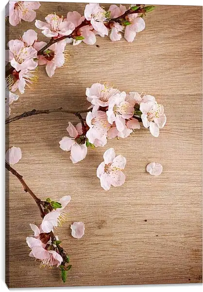 Постер на подрамнике - Ветка сакуры