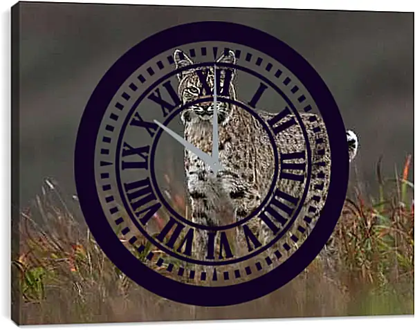Часы картина - Рысь