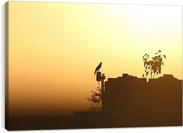 Постер на подрамнике - Чёрный ворон. Закат