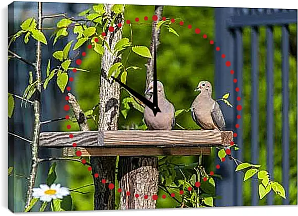 Часы картина - Голуби