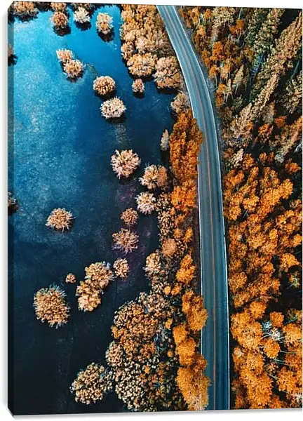 Постер на подрамнике - Дорога возле леса и водоёма