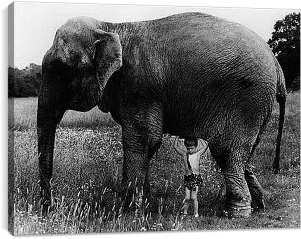 Постер на подрамнике - Ретро
