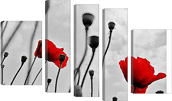 Модульная картина - Маки