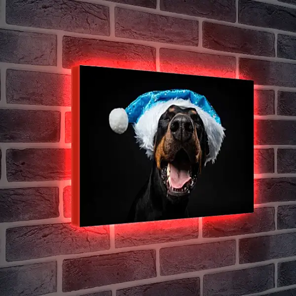 Лайтбокс световая панель - Собака в новогодней шапке