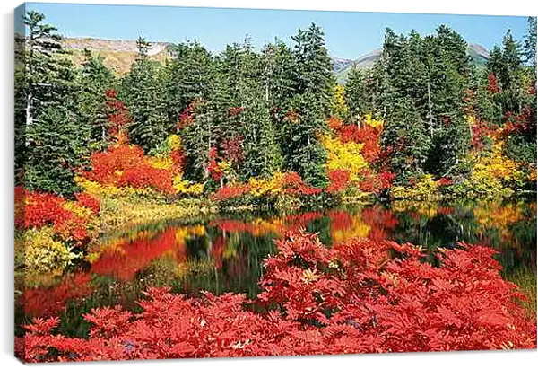 Постер на подрамнике - Осень