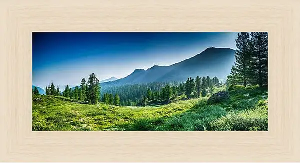 Картина в раме - Горы и лес