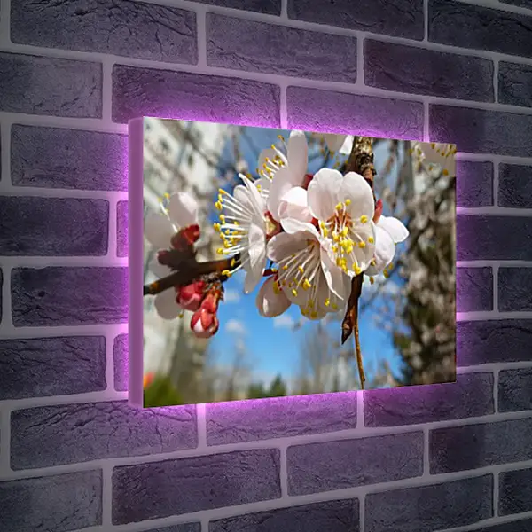 Лайтбокс световая панель - Весна