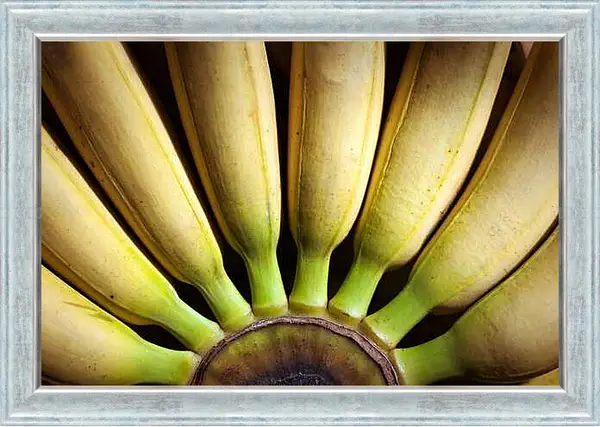 Картина в раме - Связка бананов