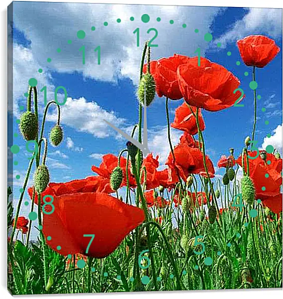 Часы картина - Маки с низу