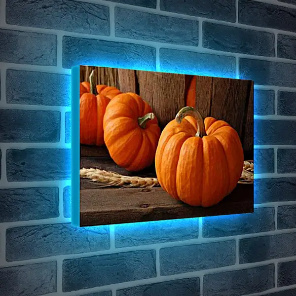 Лайтбокс световая панель - Тыквы и колоски. Осенний Натюрморт.