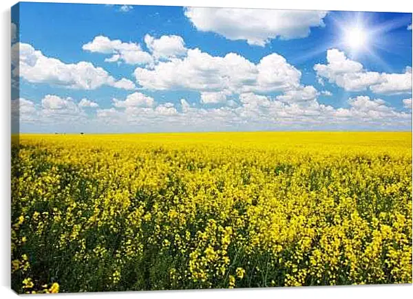 Постер на подрамнике - Рапс над облачным небом
