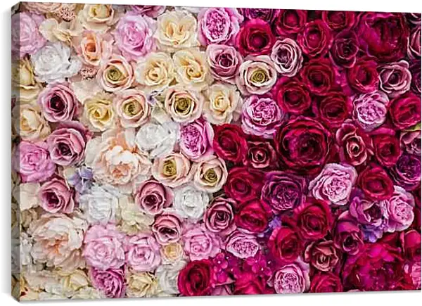 Постер на подрамнике - Разные розы. Цветы.