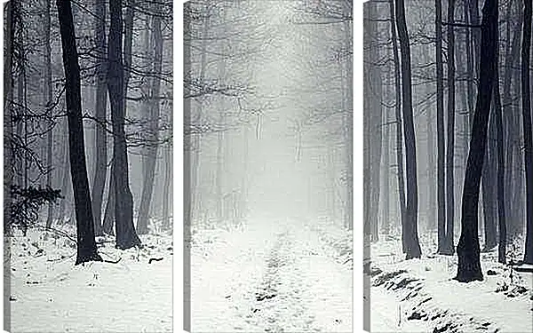 Модульная картина - Зима