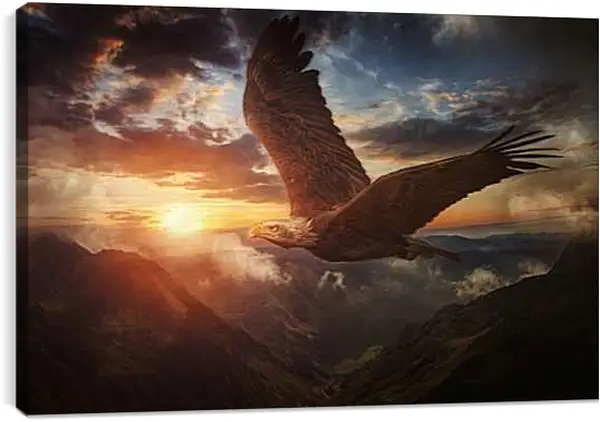 Постер на подрамнике - Орёл в полёте