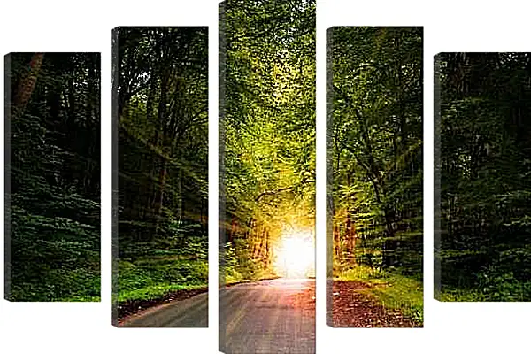 Модульная картина - Яркое солнце в лесу