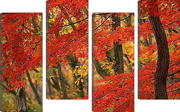 Модульная картина - Осень