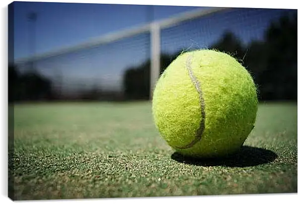 Постер на подрамнике - Теннисный мяч