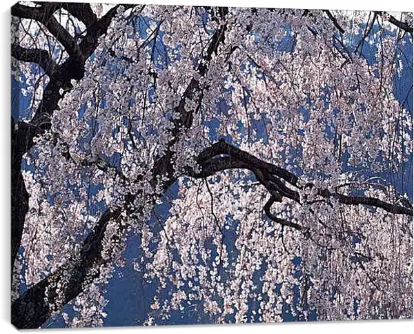 Постер на подрамнике - Весна