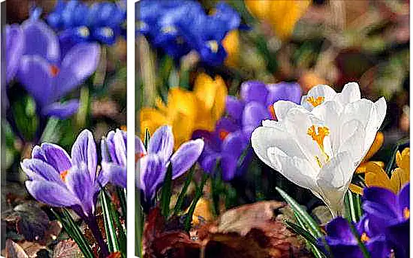 Модульная картина - Весна