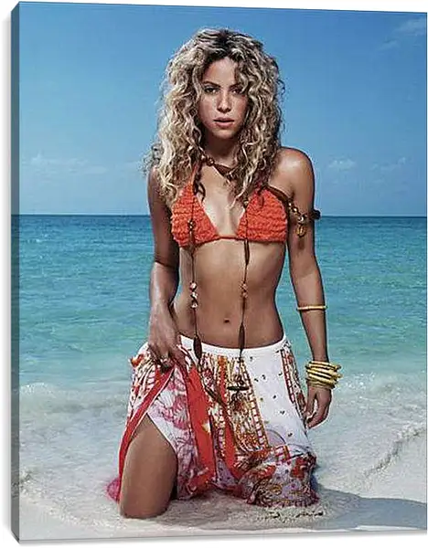 Постер на подрамнике - Shakira - Шакира

