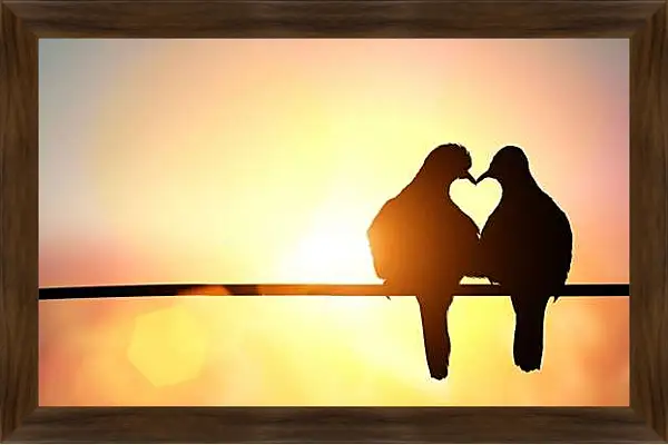 Картина в раме - Голуби