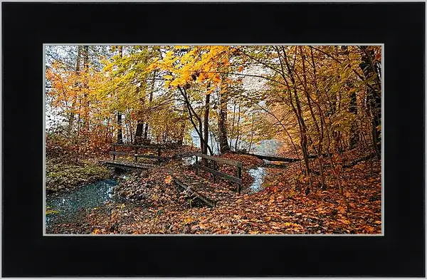 Картина в раме - Осень