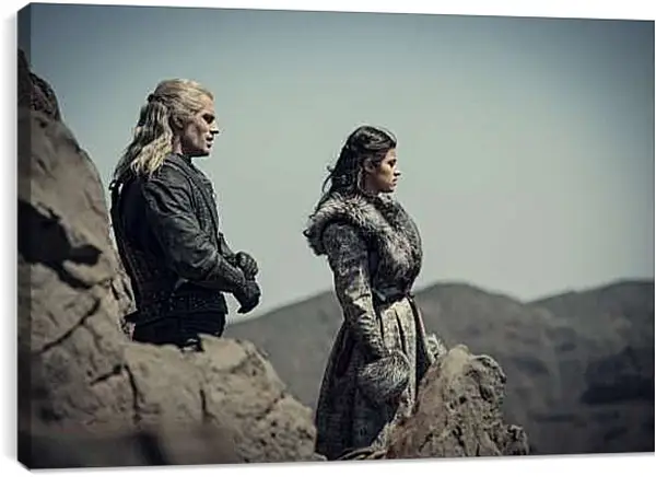 Постер на подрамнике - Ведьмак. The Witcher