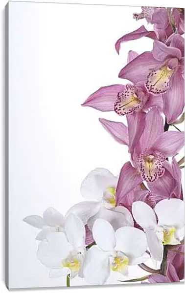 Постер на подрамнике - Розовые цветы