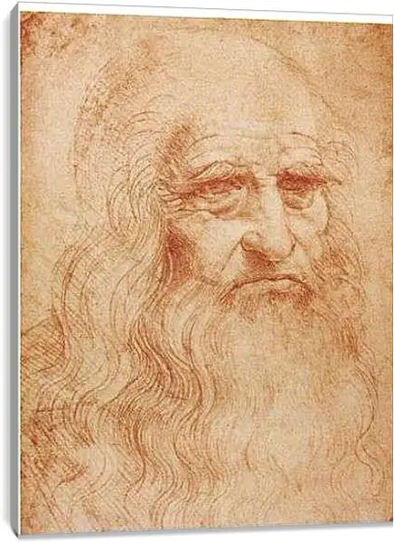 Постер на подрамнике - Автопортрет. Леонардо да Винчи