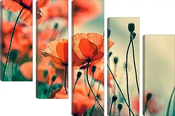 Модульная картина - Маки